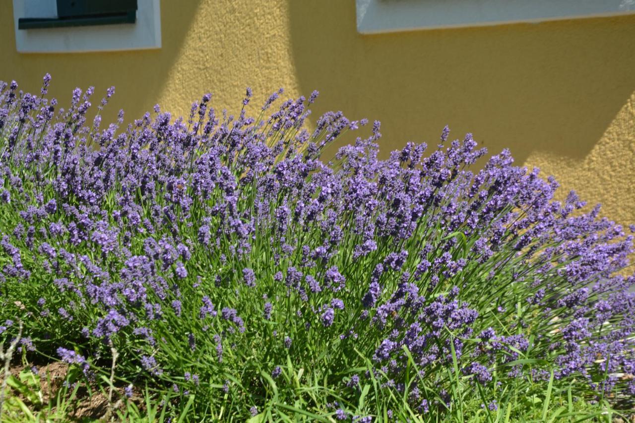 Apartamento Wastlhof Am Kreischberg Lutzmannsdorf Exterior foto
